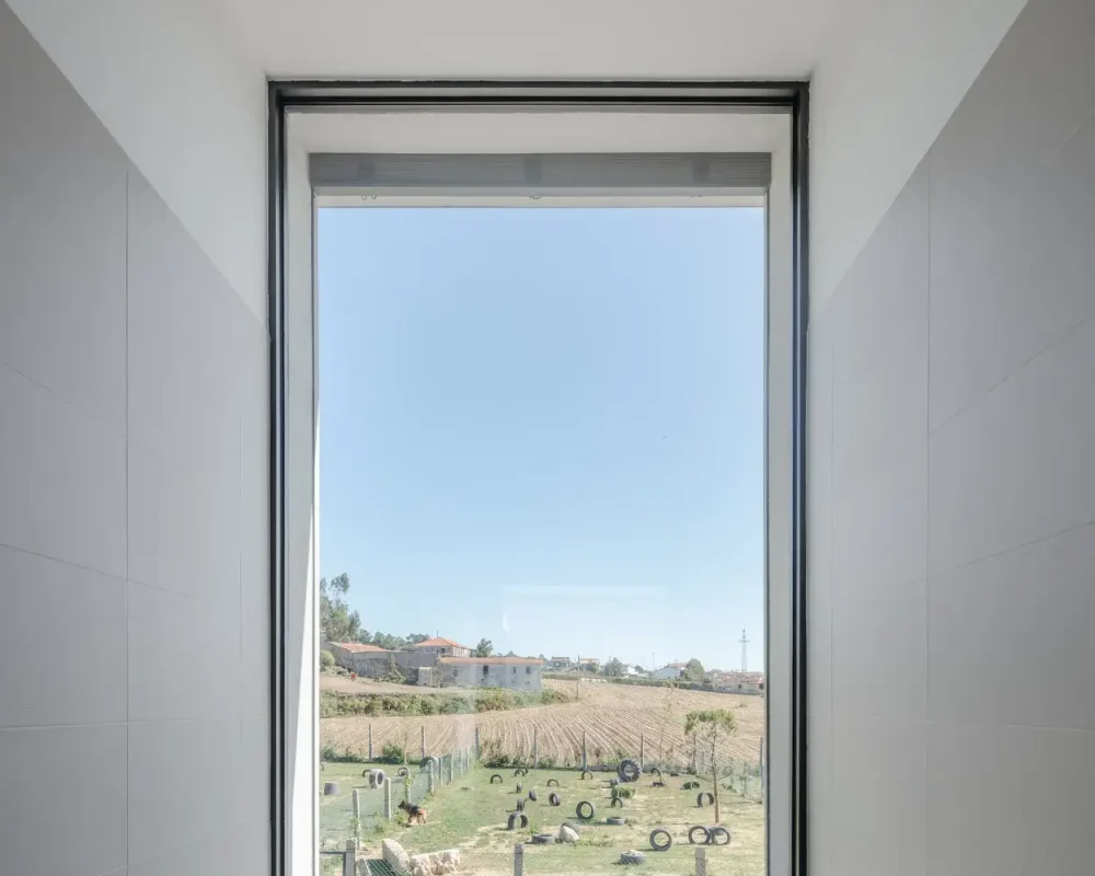 81552434_1078395209171325_6078997780481703936_o