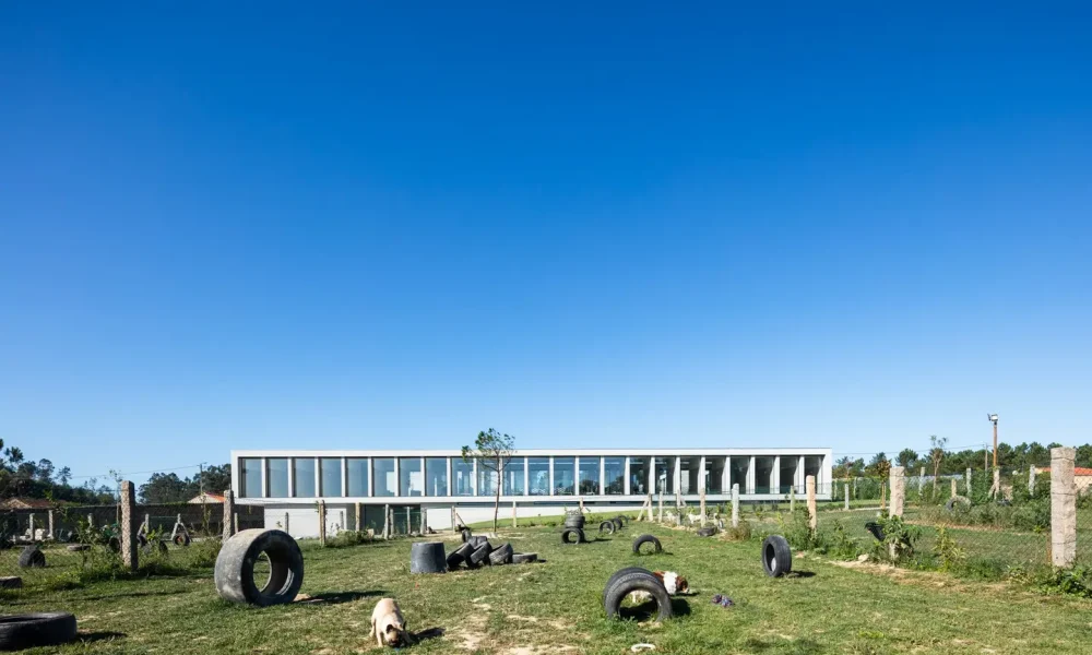 82215384_1078395825837930_4601484015105474560_o