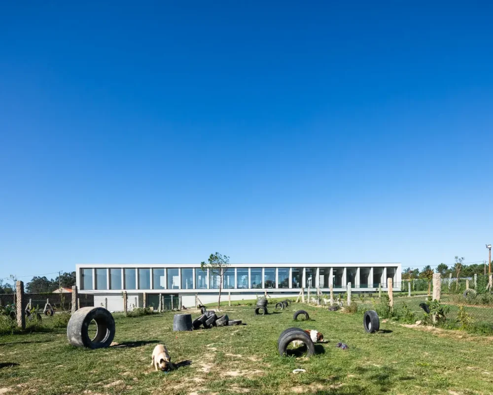 82215384_1078395825837930_4601484015105474560_o