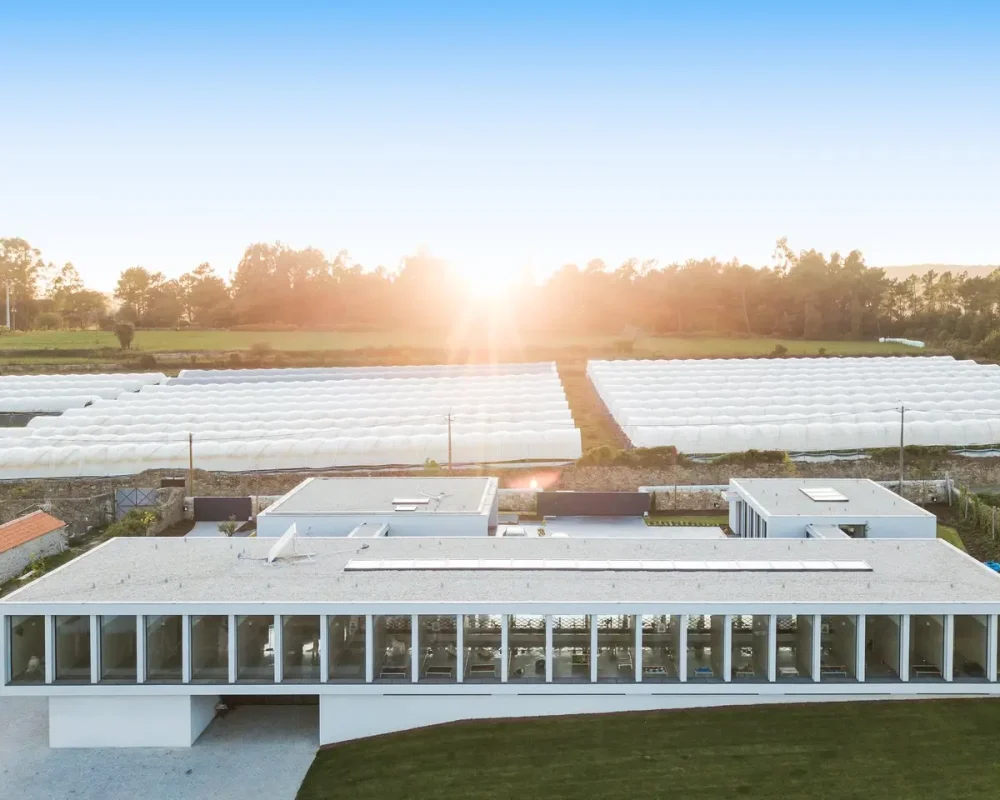 82331694_1078398755837637_3804733252023877632_o