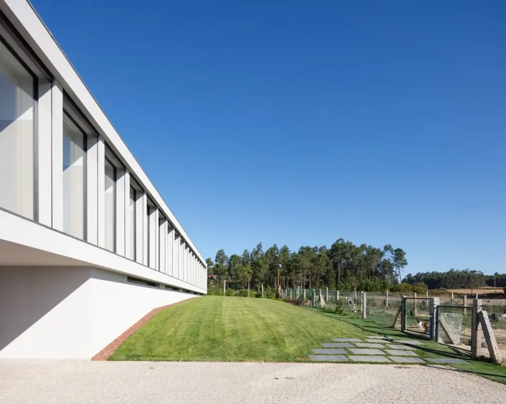 82417516_1078395629171283_7922183931862974464_o