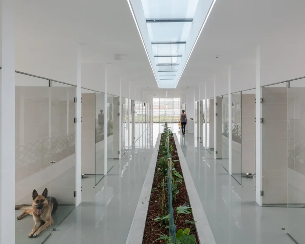 82570623_1078400735837439_8261460655752609792_o